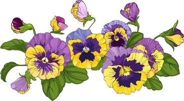 blomma arrangemang av pansies isolerat på en vit bakgrund. buketter altfiol, gul och lila blommor grön löv. vektor illustration