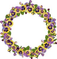 runda ram med fikus blommor, krans för bakgrund, textur, mönster, ram eller gräns. vektor illustration av pansies blommig