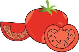 vektorillustration der bunten roten tomate mit voll- und scheibenstück. vektor