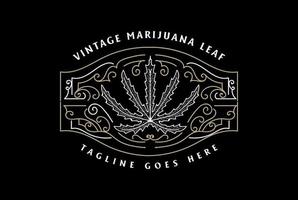vintage retro marihuana cannabisblatt mit verzierung für hanf cbd öl abzeichen emblem label logo design vektor