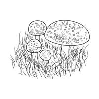 Pilze Strichzeichnungen. ein Symbol für Herbst, Wald und Ernte. Abbildung des schwarzen Pilzes.