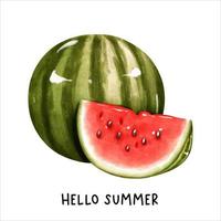 aquarell wassermelone, fruchtvektorillustration vektor