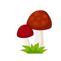 en stor svamp med brun mössa. naturlig cep. livsmedelsingrediens. höstens skörd. vektor