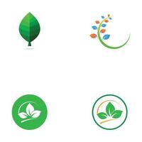 blad träd grön logotyp vektor