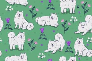 Samoyed-Hunde auf einem nahtlosen Muster der grünen Wiese. Vektorgrafiken.