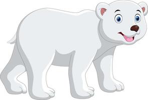 Cartoon-Eisbär auf weißem Hintergrund vektor