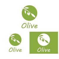 olivenöl logo natur vektor