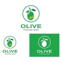 olivenöl logo natur vektor