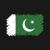 Pinsel mit pakistanischer Flagge. Nationalflagge vektor