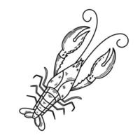 Hummer handgezeichnete Umrisse Doodle-Symbol. Vektor-Skizze-Illustration von gesunden Meeresfrüchten - Hummer oder Langusten isoliert auf weißem Hintergrund vektor