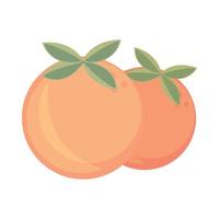 apelsiner frukt ikon vektor