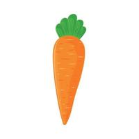 färsk morotgrönsak vektor