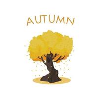 enorm höst träd med stor trunk. gul och orange faller löv isolerat på vit bakgrund vektor illustration. falla lövverk.