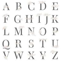 alfabet brev samling vektor