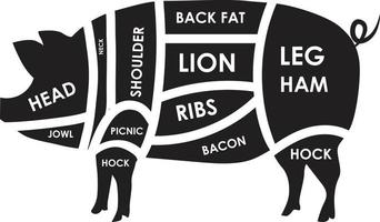 kött skärsår. nedskärningar av fläsk. gris silhuett isolerat på vit bakgrund. årgång affisch för slaktare affär. retro diagram. vektor