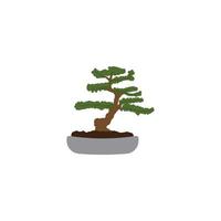 bonsai dekorativ växt ikon vektor