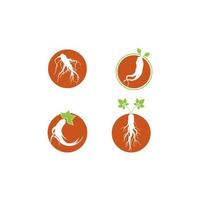 Ginseng-Symbol-Vektor-Illustration-Template-Design vektor