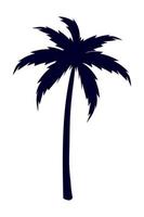 tropische Palmenpflanze vektor