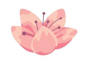 Sakura-Blumennatur vektor