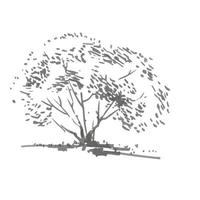 handgezeichneter Busch. rrealistisches bild in grautönen, skizze mit tintenpinsel gemalt vektor