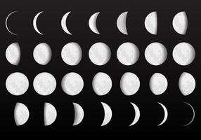 Komplette Mondphasenvektoren