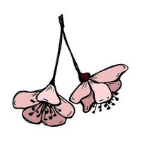 vektor körsbärsblomma clipart. handritad blossom illustration