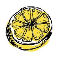 Vektor-Zitronen-Clipart. handgezeichnetes Zitrussymbol. Fruchtabbildung. für Print, Web, Design, Dekor vektor