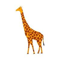 giraff däggdjur vektor ikon sida se. djur- karaktär söt brun safari symbol. afrika gul gräsätande