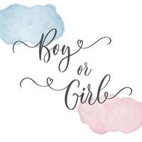 Geschlecht offenbaren Kalligrafie Banner Junge oder Mädchen. für Babyparty-Party Einladung vektor
