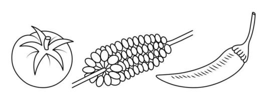 Tomaten, Maiskolben, Chilischote. skizzieren. Sammlung von Vektorgrafiken. Malbuch. Doodle-Stil. Umriss auf isoliertem Hintergrund vektor