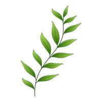 grüne Blätter isoliert auf weißem Hintergrund - dekoratives Element vektor