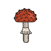 söt svamp i klotter stil. giftig svamp, flyga agaric, paddsvamp. vektor isolerat hand illustration