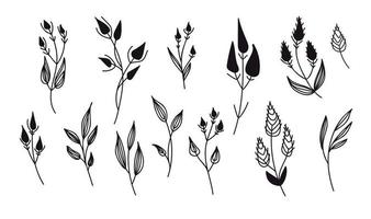 vektor uppsättning grafisk uppsättning av växter i klotter stil