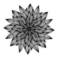 blommig, hand dragen aster mandala blommor i klotter stil isolerat på vit bakgrund. elegant färg sida för säsong- design, textil, dekoration barn lekrum eller hälsning kort. krysantemum. vektor