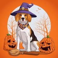 Beagle-Hund in Halloween-Verkleidung, der auf einem Besen sitzt und einen Hexenhut mit Kürbissen an seinen Seiten trägt vektor