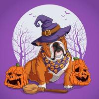Englische Bulldogge in Halloween-Verkleidung, die auf einem Besen sitzt und einen Hexenhut mit Kürbissen trägt
