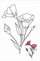 Eustoma blomma, lisianthus i klotter stil vektor illustration för färg bok, färg sidor för barn och vuxna