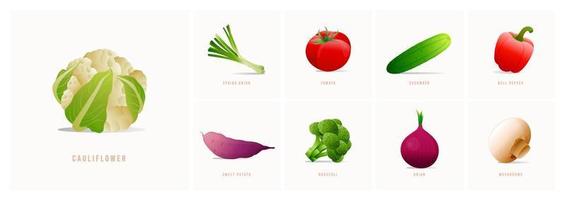 Vektor-Gemüse-Icons im modernen Stil. sammlung landwirtschaftliches produkt für restaurantmenü, marktetikett. vektor