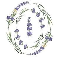 uppsättning violett lavendel- skön blommig ramar mall i vektor vattenfärg stil isolerat på vit bakgrund för dekorativ design, bröllop kort, inbjudan, resa flayer. botanisk illustration