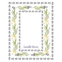 uppsättning violett lavendel- skön blommig ramar mall i platt vattenfärg stil isolerat på vit bakgrund för dekorativ design, bröllop kort, inbjudan, resa flayer. botanisk illustration vektor