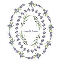 Stellen Sie violette Lavendel schöne Blumenrahmenschablone in der Vektoraquarellart ein, die auf weißem Hintergrund für dekoratives Design, Hochzeitskarte, Einladung, Reiseflayer lokalisiert wird. Botanische Illustration vektor