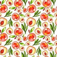 sömlös mönster av persikor med löv på vit bakgrund vektor