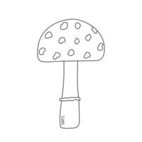 Strichzeichnungen Doodle Pilz. Amanita-Pilz. dekoratives element für halloween vektor