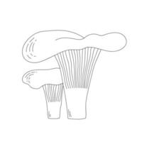 Strichzeichnungen Pfifferlinge. Doodle-Stil. cantharellus, Gourmetküche, vegetarisch. vektor