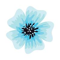 blå blomma våren vektor
