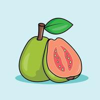 illustration av en guava vektor
