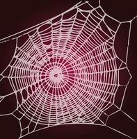 spöklikt spindelnät vektor