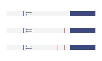 uppsättning av graviditet testa resultat vektor illustration. graviditet positiv och negativ testa 1 rand och 2 Ränder platt design ClipArt. medicinsk, kvinna reproduktiv, planera av graviditet begrepp