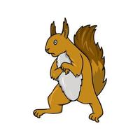 helles, flauschiges, verängstigtes Eichhörnchen, das auf seinen Hinterbeinen steht, Vektorillustration im Cartoon-Stil auf weißem Hintergrund vektor