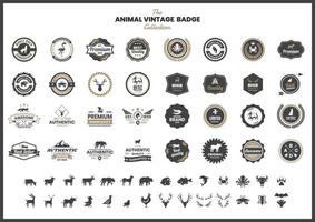 vintage badge set med flamingo och andra djur vektor